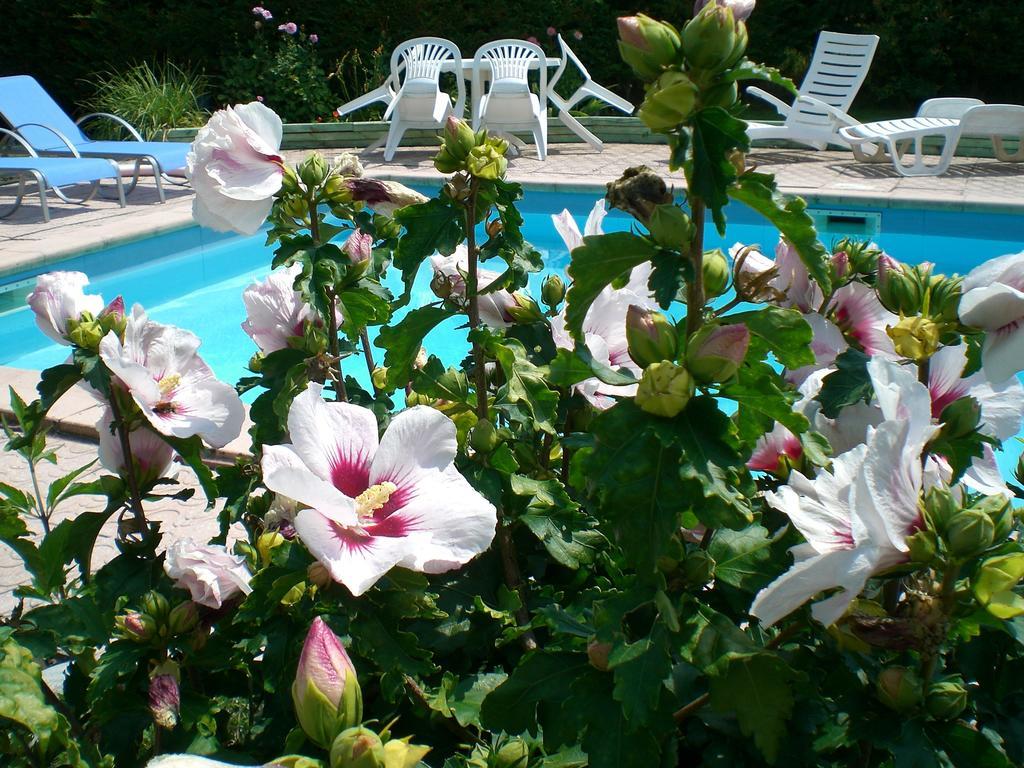 Chambres D'Hotes Le Clos Des Senteurs Malemort Exterior photo
